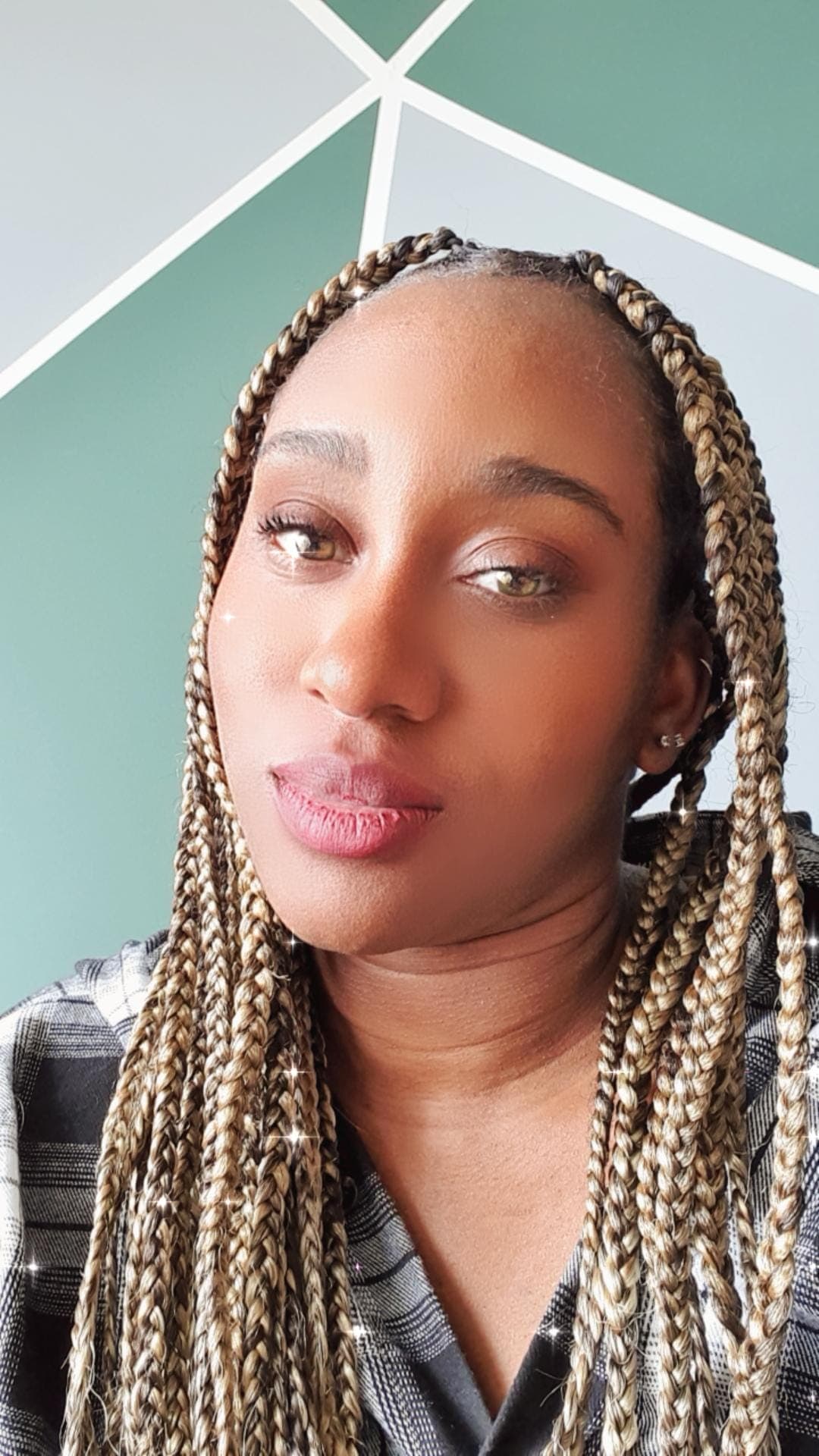 Braidsbykiaraa