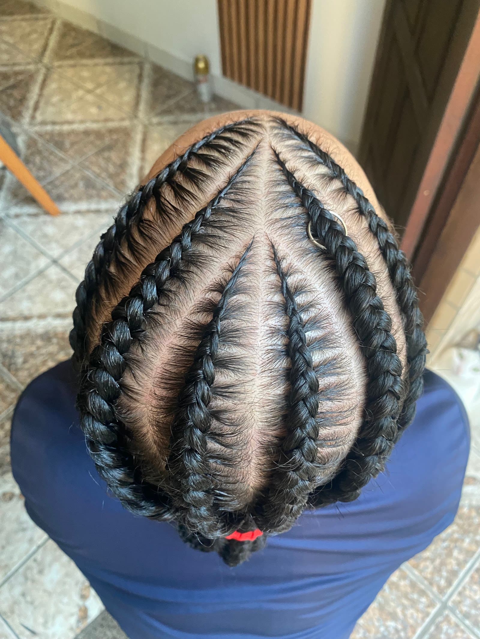 Panteras Braids